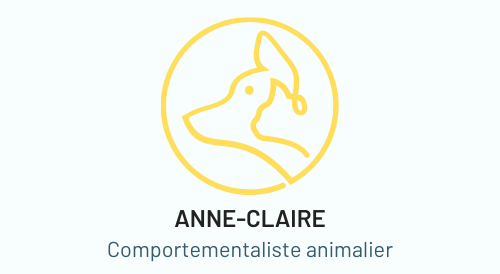 Comportementaliste animalier Paris